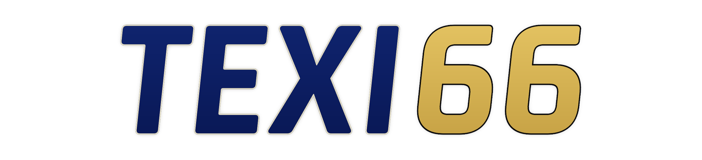 texi66 logo